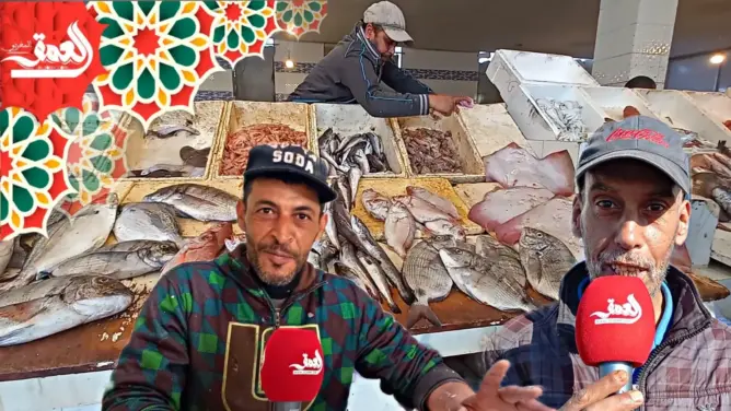 سوق السمك بالجديدة.. انخفاض طفيف في الأسعار خلال الأيام الأخيرة من رمضان (فيديو)