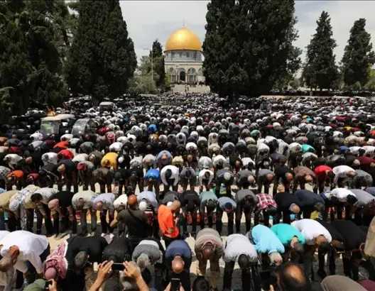 الاحتلال يقتحم الأقصى لليوم الثامن.. و150 ألف مقدسي يؤدون فيه صلاة الجمعة (صور)