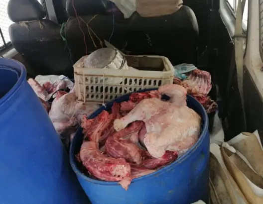 الدرك يحجز أزيد من نصف طن من اللحوم الفاسدة ضواحي بني ملال