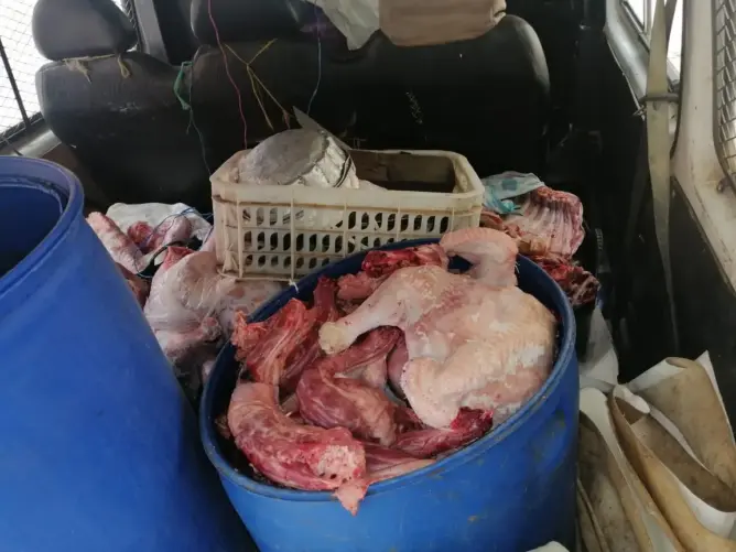 الدرك يحجز أزيد من نصف طن من اللحوم الفاسدة ضواحي بني ملال