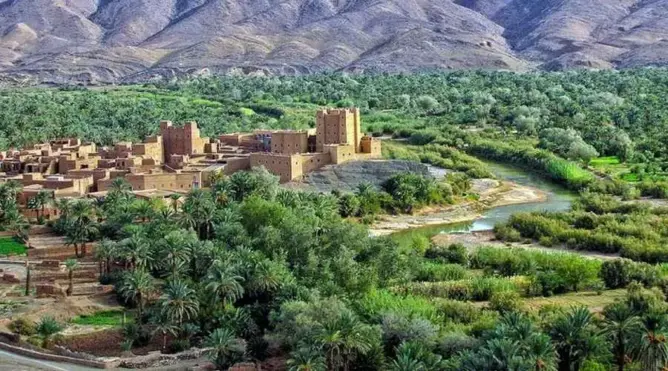 الأمطار الأخيرة تبعث الأمل في الواحات الجنوبية وتنعش الزراعات المتضررة من الجفاف