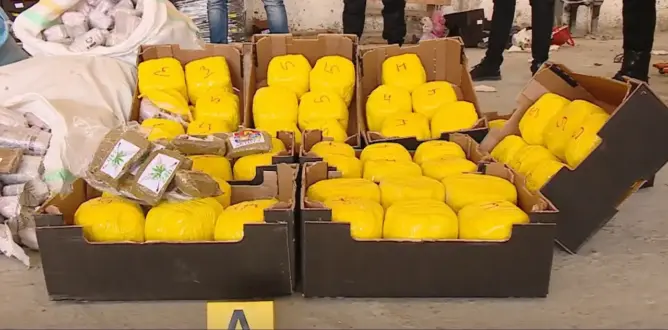 طنجة .. حجز 30 طن من الحشيش محشوة في فواكه وخضر متجهة لإسبانيا (صور)