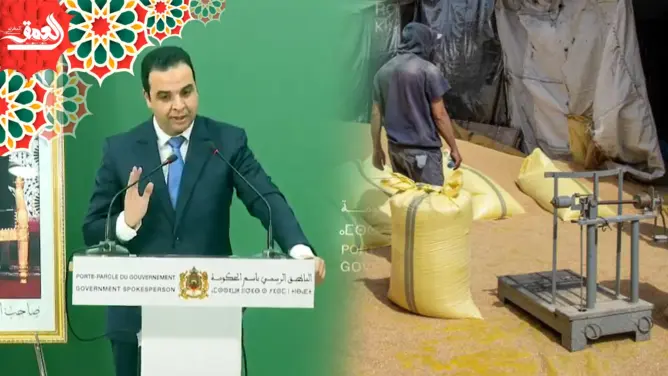 الحكومة تعلن دعم القمح اللين بنحو 300 مليار سنتيم خلال الأشهر الأربعة الماضية