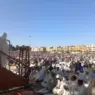 بعد عامين من انقطاعها.. المغاربة يؤدون صلاة العيد والمصليات تتحرر من قيود كورونا (فيديوهات وصور)