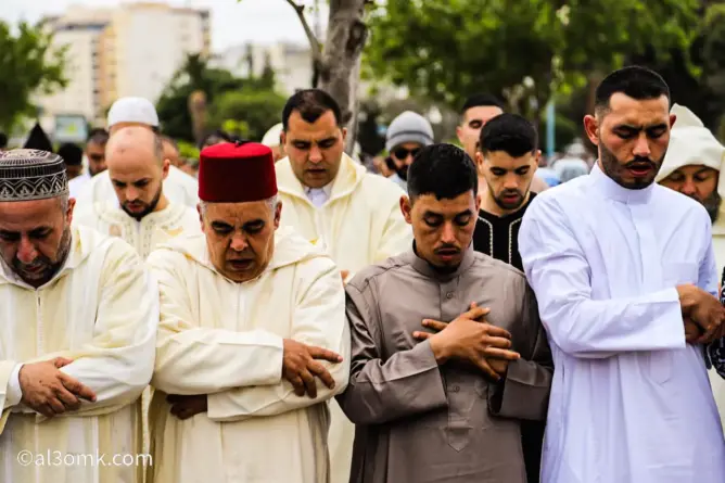 وزارة الأوقاف: إقامة صلاة الغائب يوم غد الأحد بعد صلاة الظهر