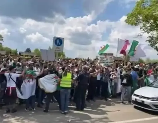 جزائريون يحتجون أمام مقر الفيفا للمطالبة بإعادة مباراة منتخبهم ضد الكاميرون