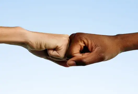 الأمم المتحدة تدعو إلى مكافحة العنصرية بالتعليم