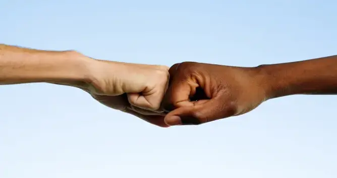 الأمم المتحدة تدعو إلى مكافحة العنصرية بالتعليم