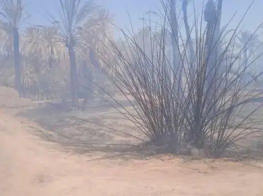 حريق مهول بـ”واحة طانسيطة” بزاكورة يأتى على 400 نخلة