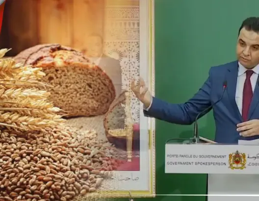 الحكومة: مخزون القمح يكفي لـ4 أشهر وأسعاره عالميا ارتفعت بشكل مهول