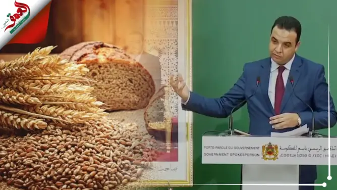 الحكومة: مخزون القمح يكفي لـ4 أشهر وأسعاره عالميا ارتفعت بشكل مهول