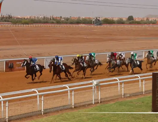 الجائزة الكبرى لسباق الخيل بمراكش