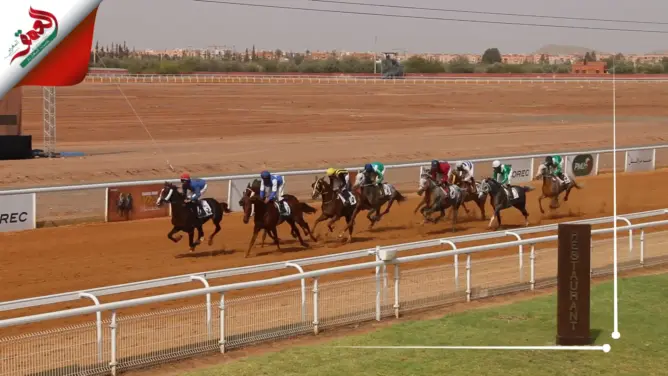 الجائزة الكبرى لسباق الخيل بمراكش
