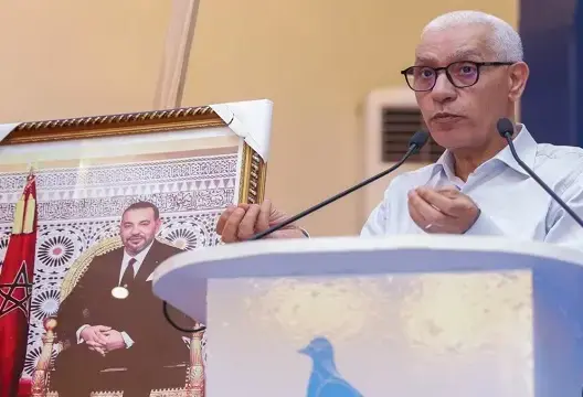 الطالبي ردا على المطالبين برحيل أخنوش: الدستور لا يعترف بالحسابات الفايسبوكية