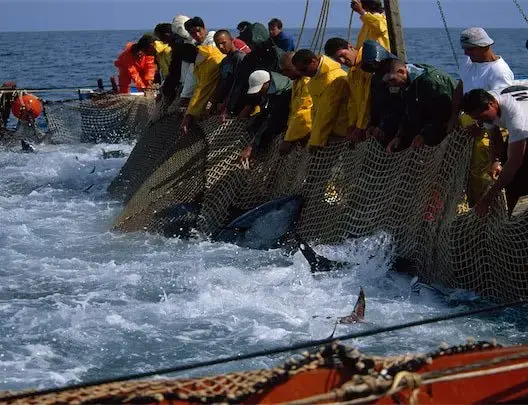 البنك الدولي يمنح تمويلا جديدا للمغرب بـ350 مليون دولار لتدشين “الاقتصاد الأزرق”