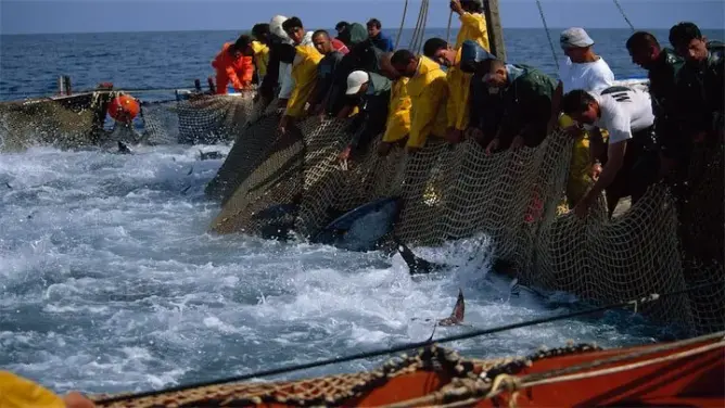 البنك الدولي يمنح تمويلا جديدا للمغرب بـ350 مليون دولار لتدشين “الاقتصاد الأزرق”