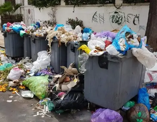 مجلس الشامي يدعو لمراجعة عقود التدبير المفوض وفرض ضرائب على المنتجين الملوثين