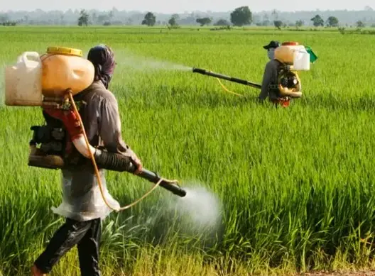 فرص شغل.. 50 منصبا في مجال الفلاحة ببولمان