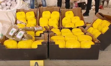 اقتناء أطنان من “السويهلة” بطنجة تثير شكوكا حول إمكانية استخدامها في تهريب المخدرات