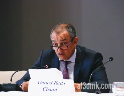 الشامي يدعو الاتحاد الأورو المتوسطي للتعاون في الانتقال الطاقي والرقمي لتنمية اقتصاد المنطقة (فيديو)