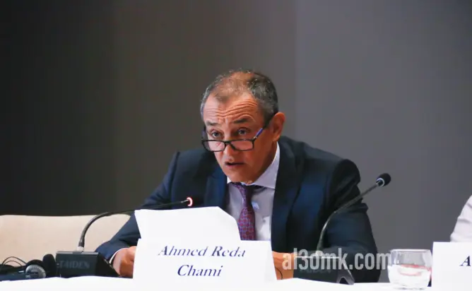 الشامي يدعو الاتحاد الأورو المتوسطي للتعاون في الانتقال الطاقي والرقمي لتنمية اقتصاد المنطقة (فيديو)
