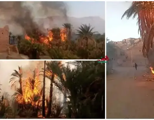 حريق مهول بواحة “تالوين” نواحي زاكورة يلتهم 100 نخلة ويدمر منزلا بالكامل