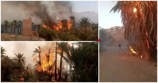 حريق مهول بواحة “تالوين” نواحي زاكورة يلتهم 100 نخلة ويدمر منزلا بالكامل