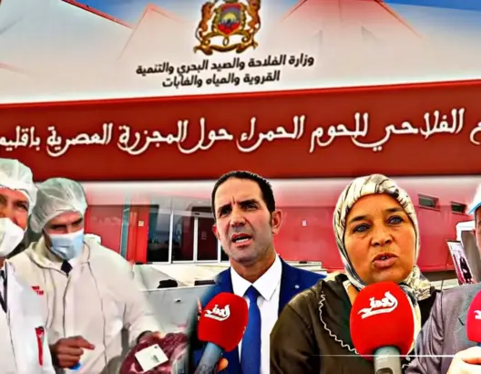 إتفاقية شراكة بين وزارة الفلاحة و شركة للتجميع الفلاحي للحوم الحمراء ، تعطي الأمل للفلاح