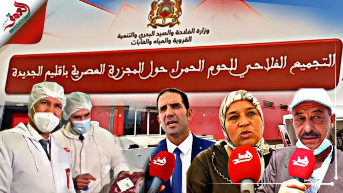 إتفاقية شراكة بين وزارة الفلاحة و شركة للتجميع الفلاحي للحوم الحمراء ، تعطي الأمل للفلاح