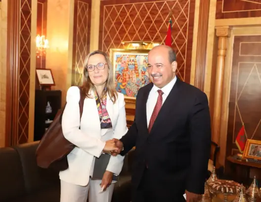 ميارة يستقبل رئيسة مكتب مجلس أوروبا بالمغرب ويدعمان مواصلة برنامج التوأمة المؤسساتية