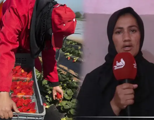 فقدت القدرة على الحركة والنطق.. عاملة مغربية بحقل فراولة باسبانيا تستغيث