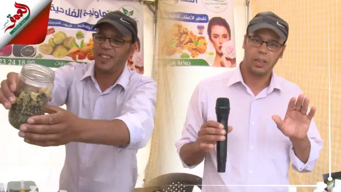 هكذا يتم تثمين المنتوجات العطرية وتقطير الزيوت بمنطقة إمغران نواحي ورزازات
