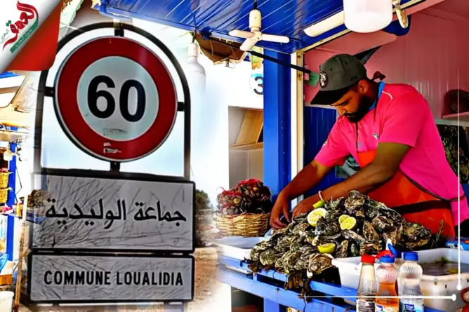 بائعو المحار بالوليدية بدون كهرباء.. ويوجهون نداء للمسؤولين
