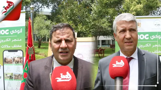 قبيل العيد.. وزير الفلاحة يطلق منصة إلكترونية لتسويق سلالات الأغنام والماعز (فيديو)