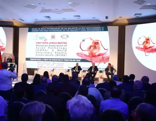 المؤتمر الإفريقي للدواجن