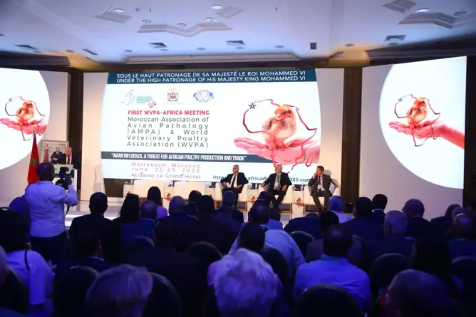 المؤتمر الإفريقي للدواجن
