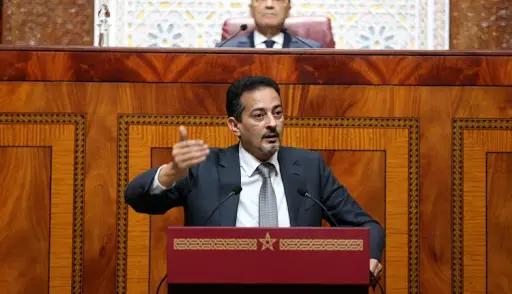المهاجري ينتقد الوزيرة عمور بسبب “فضائح” برنامج فرصة ويطالب باستدعائها للبرلمان