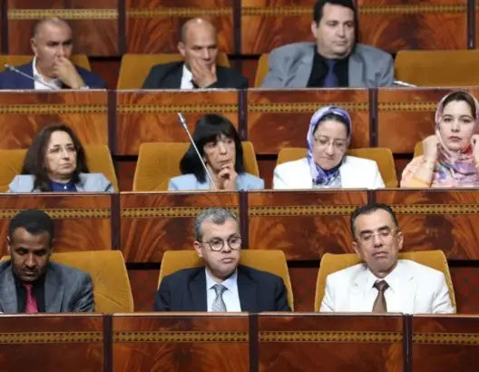 بعد الأغلبية.. المعارضة الاتحادية تطالب بإعادة تشكيل لجنة تقييم مخطط المغرب الأخضر