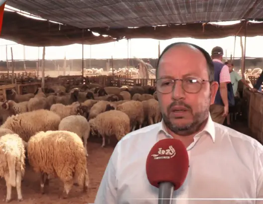 أكادير.. “رحبات بيع الاضاحي” تعود إلى الواجهة ومجلس أخنوش يوضح(فيديو)