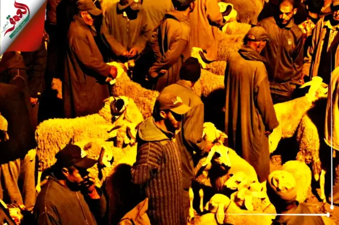 خميس الزمامرة.. هذه أسعار الأضاحي بأشهر أسواق دكالة و”الكسابة” يعزون الغلاء للأعلاف