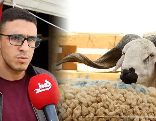 أضاحي العيد بسلا.. تعرف على الأسعار وسبب البيع في الكراجات