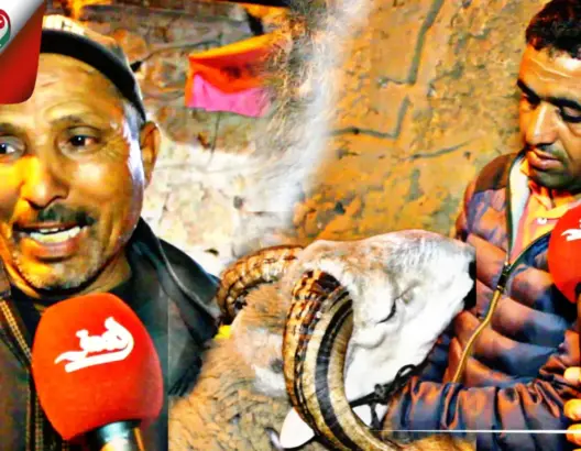 “كسابة” يحذرون المواطنين من “النصابة”