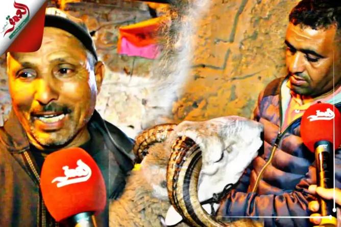 “كسابة” يحذرون المواطنين من “النصابة”