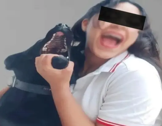 الحبس والغرامة لفتاة حرضت كلبتها على أكل قطة بفاس