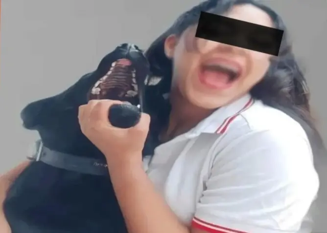 الحبس والغرامة لفتاة حرضت كلبتها على أكل قطة بفاس