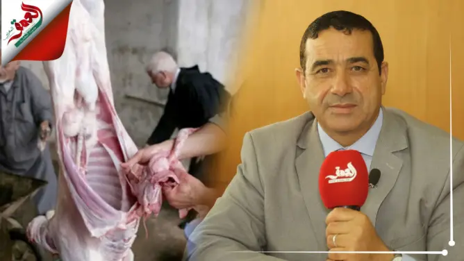 مسؤول بـ”أونسا” يقدم نصائح للتعامل مع الأضاحي تزامنا مع ارتفاع الحرارة (فيديو)