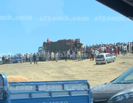 قبل يومين من العيد.. فوضى الشناقة بسوق الماشية تحت أنظار سلطات طنجة