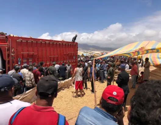 قبل يومين من العيد.. الأسعار تُلهِب أسواق الأضاحي والخضر والفواكه ومطالب بتدخل السلطات