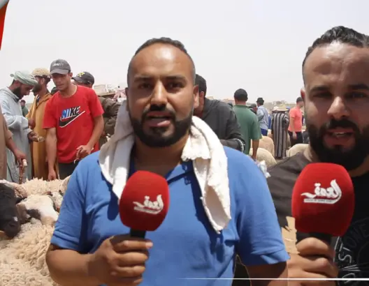 على بعد يومين من العيد.. مواطنون بوجدة يتذمرون من غلاء الأضاحي وينتقدون أسلوب "الشنَّاقة" (فيديو)