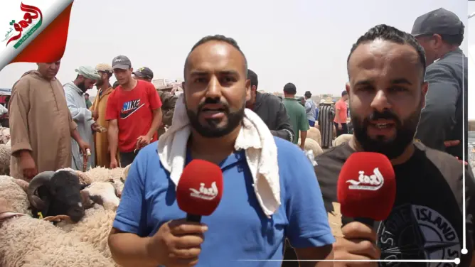 على بعد يومين من العيد.. مواطنون بوجدة يتذمرون من غلاء الأضاحي وينتقدون أسلوب "الشنَّاقة" (فيديو)